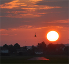 um die Wette fliegen ... der Sonne entgegen um die Wette fliegen ... der Sonne entgegen